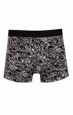 Boxer Flude Multicolore