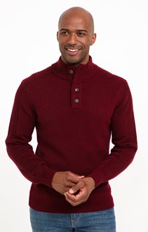 Pull col montant boutonné