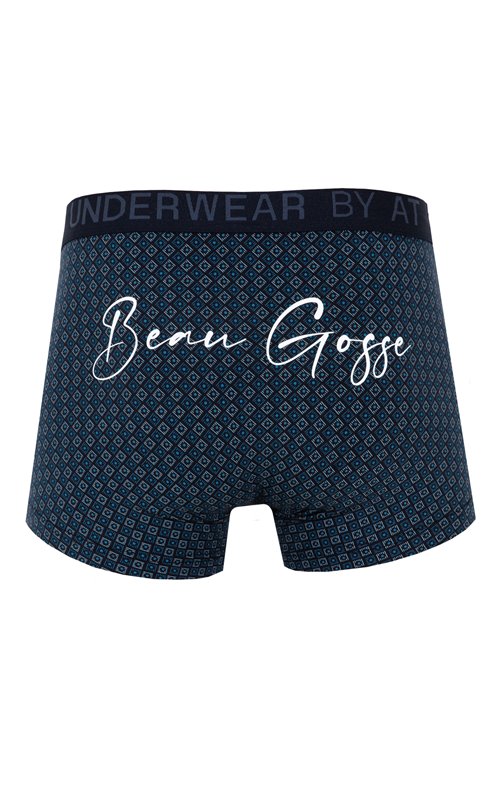 Boxer Beau Gosse