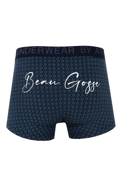 Boxer Beau Gosse