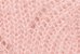 PAMPLEMOUSSE