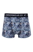 Boxer all-over Kash