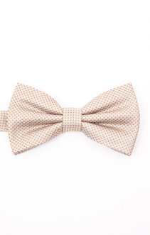 Noeud papillon en soie 