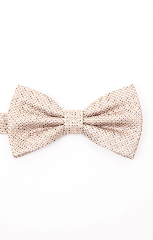 Noeud papillon en soie 