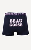 Boxer beau gosse