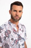 Chemise regular à motifs imprimés
