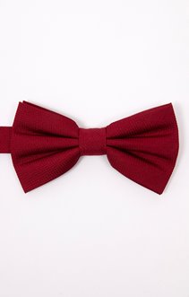 Noeud papillon en soie 
