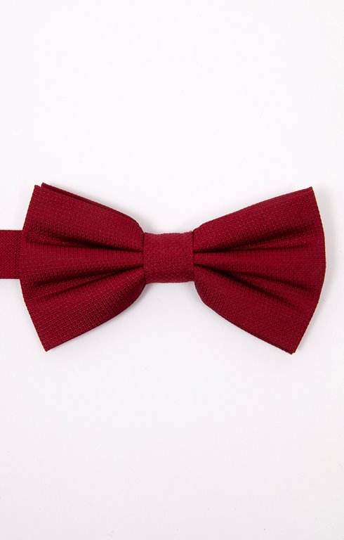 Noeud papillon en soie 