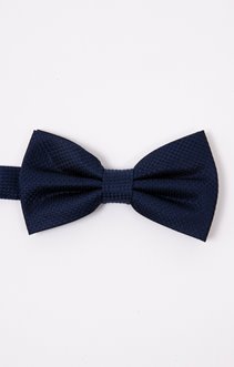 Noeud papillon en soie