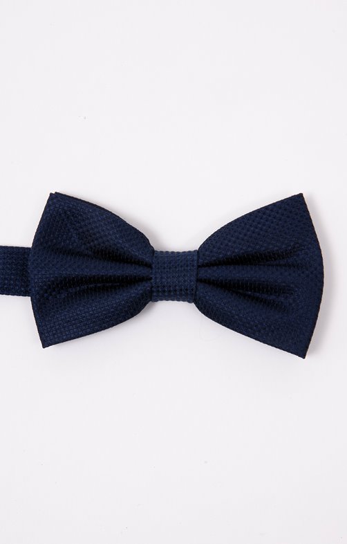 Noeud papillon en soie