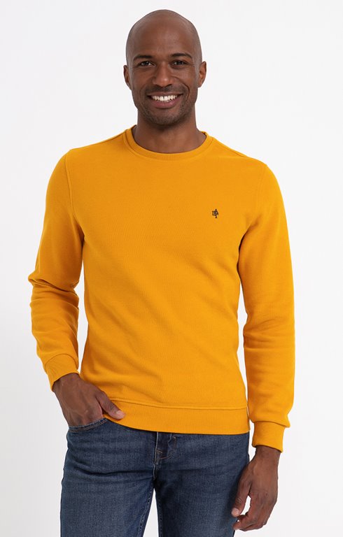 Sweat Manches Longues Dolce
