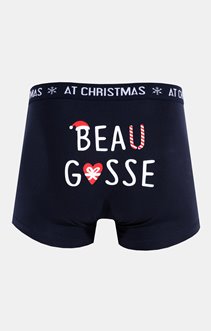 Boxer beau gosse
