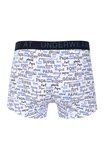 Boxer génial