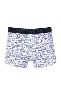 Boxer génial