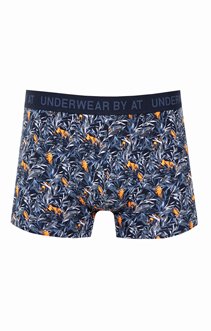 Boxer singe