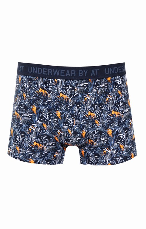 Boxer singe