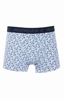 Boxer ruben