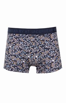 Boxer lilly