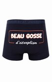 Boxer beau gosse d'exception