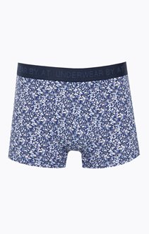 Boxer imprimé Barney