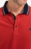 Polo manches courtes Lisy