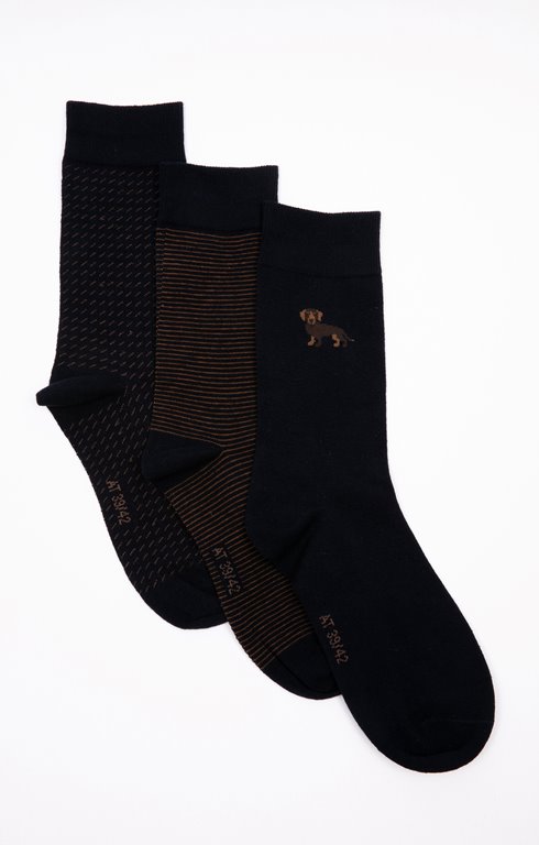 Pack 3 paires de chaussettes Teckel