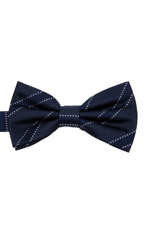 Noeud papillon en soie Chevronstrie