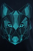 Tee-shirt manches courtes Geo Wolf