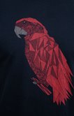 Tee-shirt manches courtes Geobird