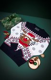Pull de Noël CERF