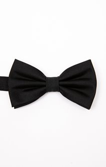 Noeud papillon en soie Satin