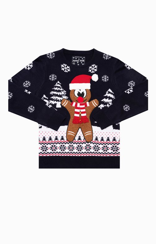 Pull de Noël Biscuit