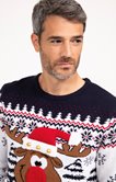 Pull Noël Cerf