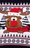 Pull Noël Cerf