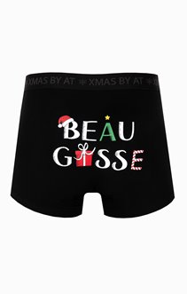Boxer beau gosse