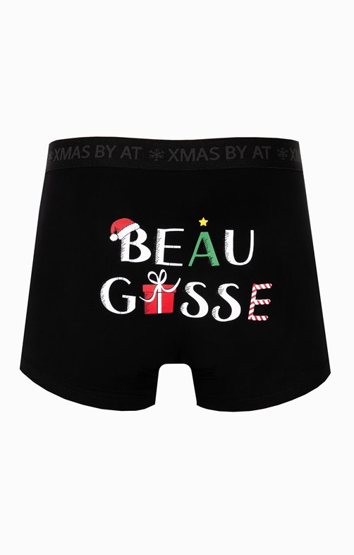 Boxer beau gosse