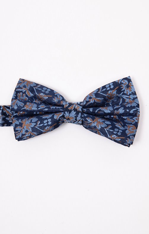 Noeud papillon en soie