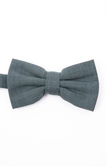 Noeud papillon en soie 