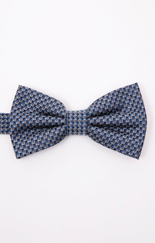 Noeud papillon en soie