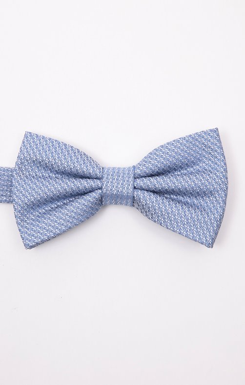 Noeud papillon en soie