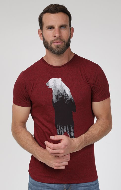 Tee-shirt manches courtes bear