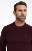Pull col rond uni Rizzy