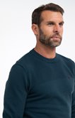 Pull col rond uni Rizzy