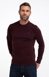 Pull col rond uni Rizzy