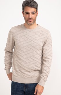 Pull col rond jacquard zaggy