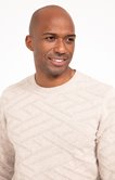 Pull col rond uni jacquard Zaggy
