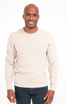Pull col rond uni jacquard Zaggy