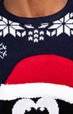 Pull Noël pingouin