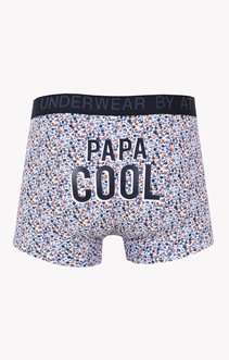 Boxer all-over papa cool