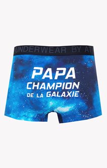 Boxer papa champion galaxie